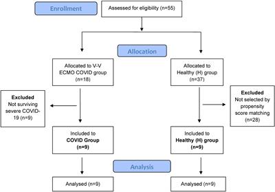 Post-COVID changes in lung function 6 months after veno-venous extracorporeal membrane oxygenation: a prospective observational clinical trial